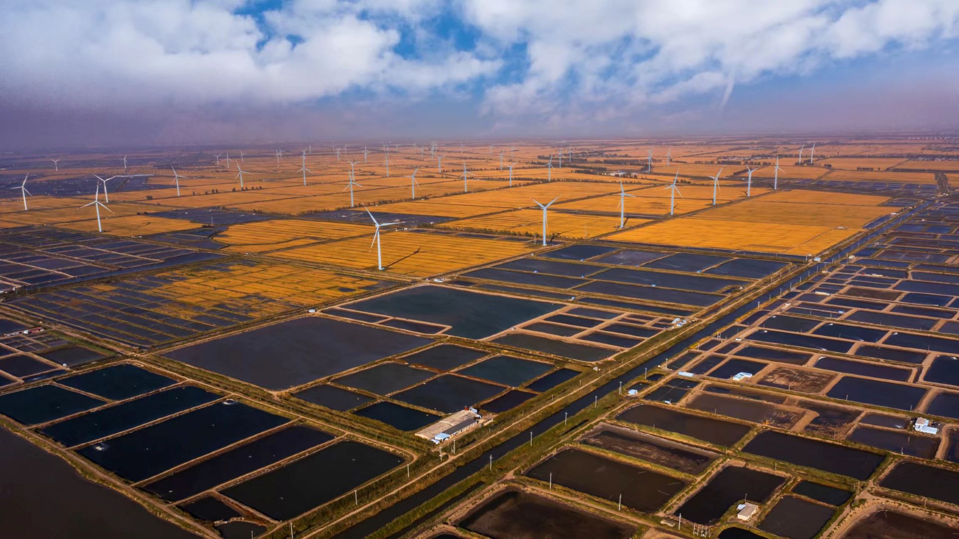 乐天堂(中国)唯一官方网站