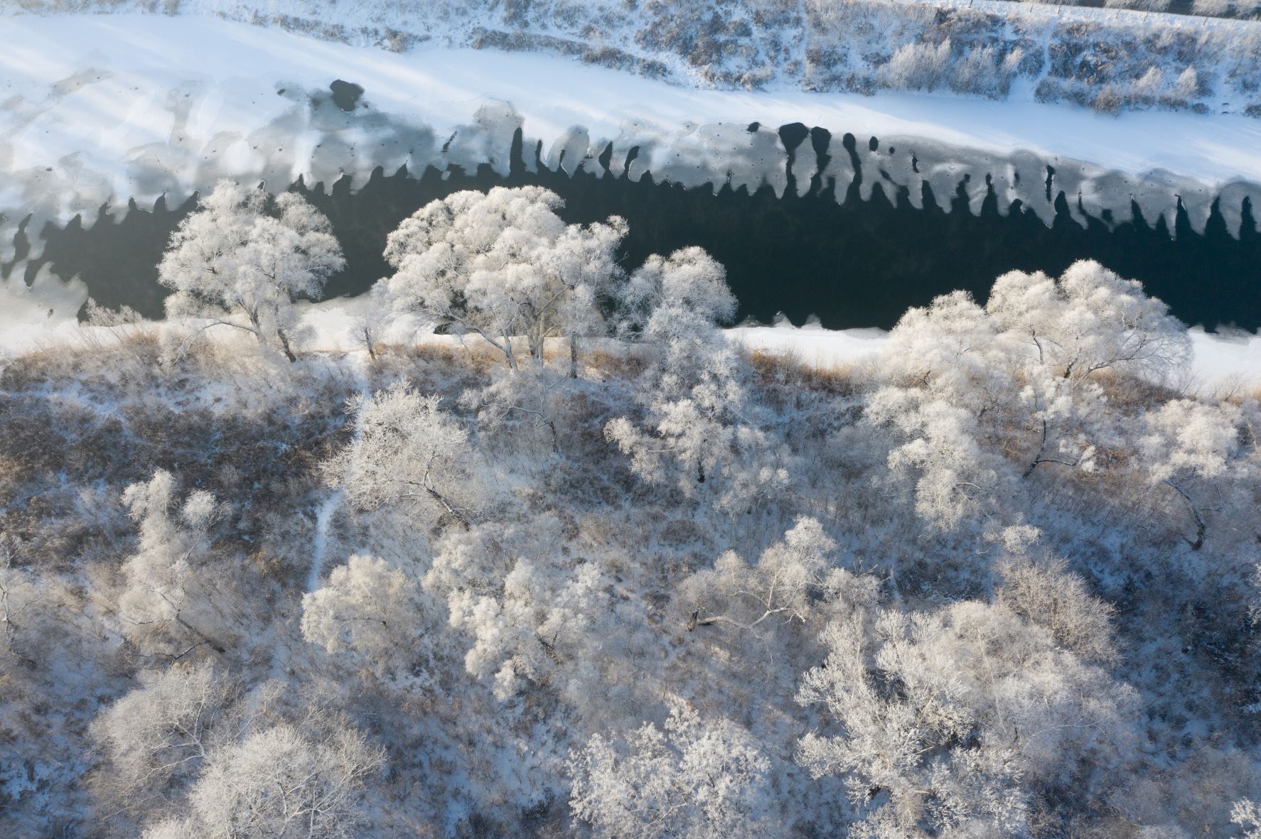 乐天堂(中国)唯一官方网站