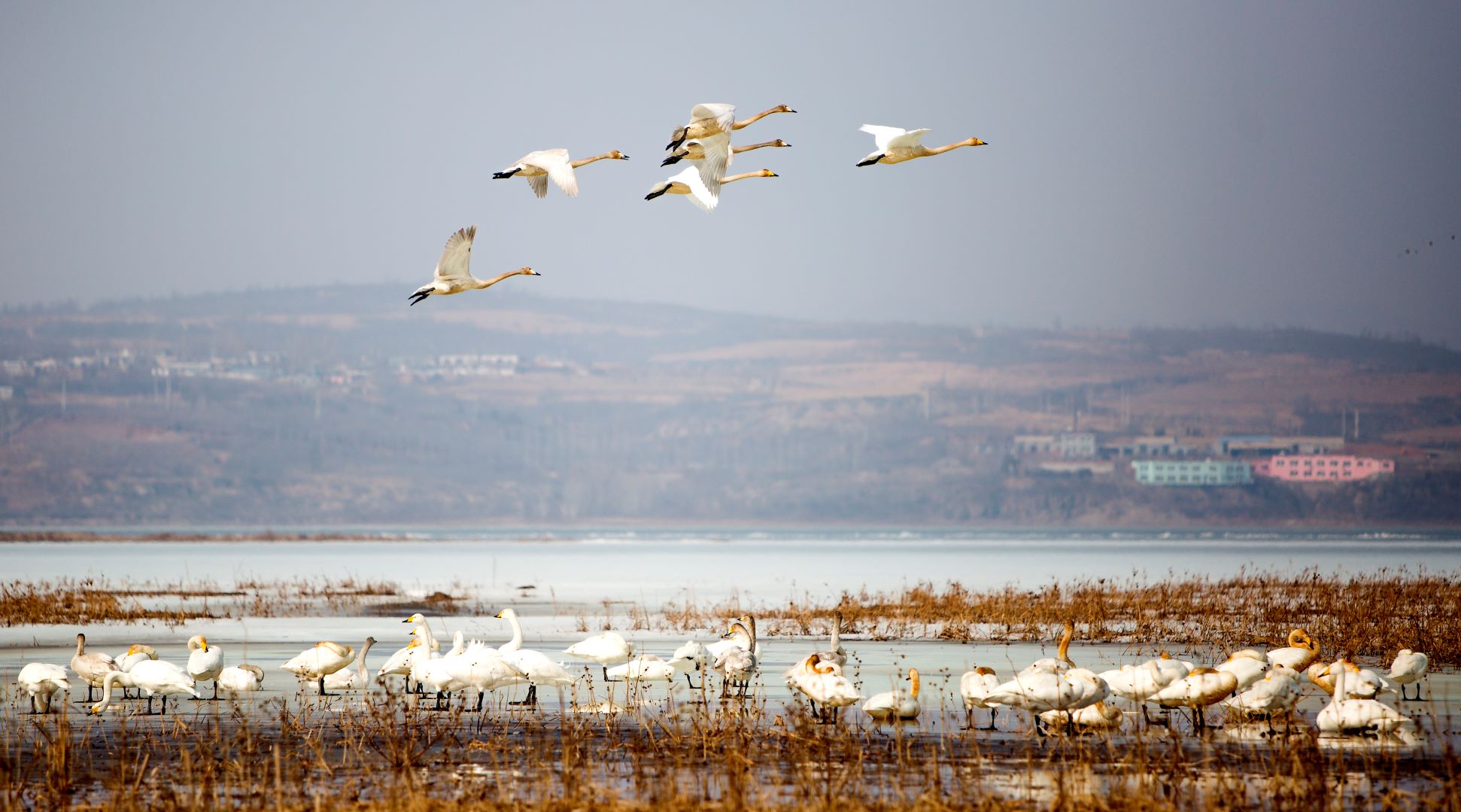 乐天堂(中国)唯一官方网站