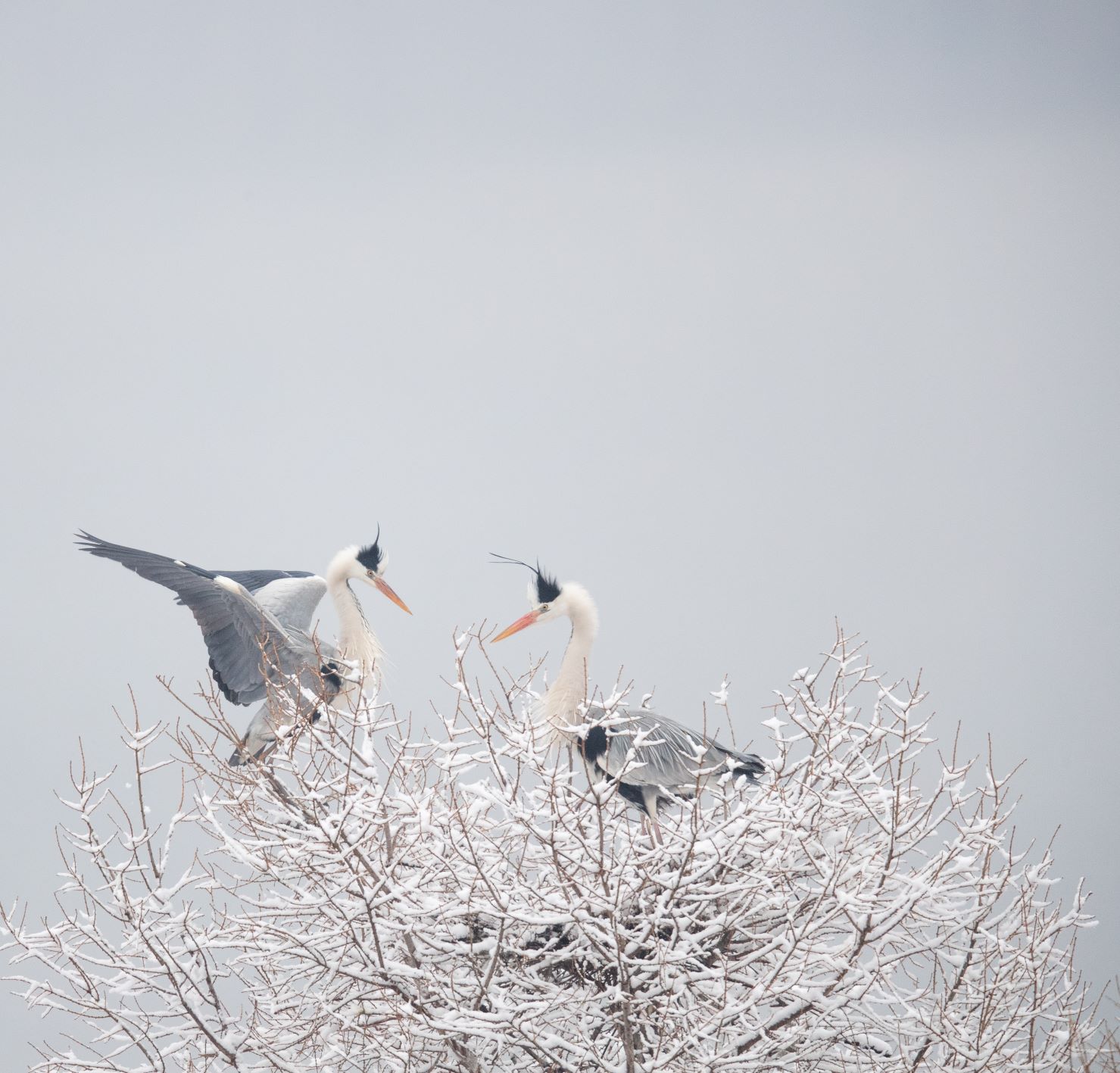 乐天堂(中国)唯一官方网站