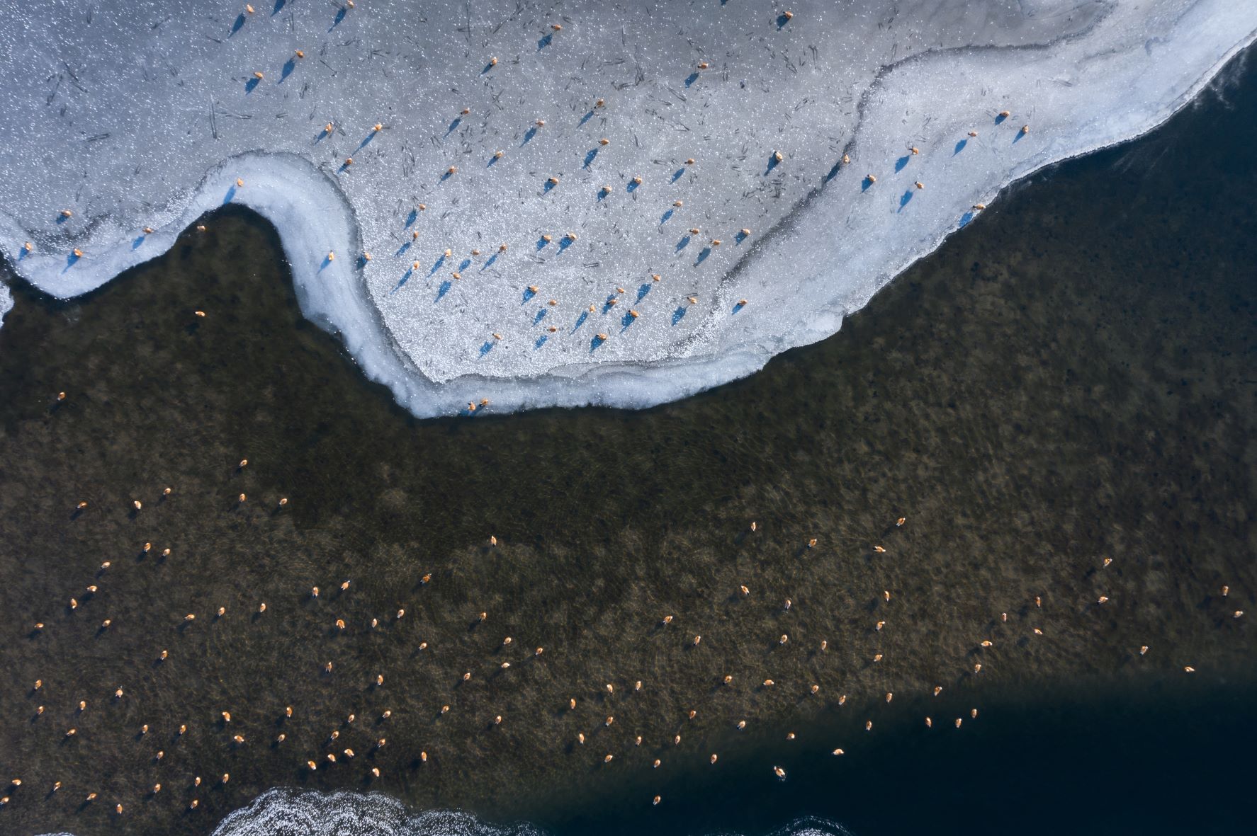 乐天堂(中国)唯一官方网站