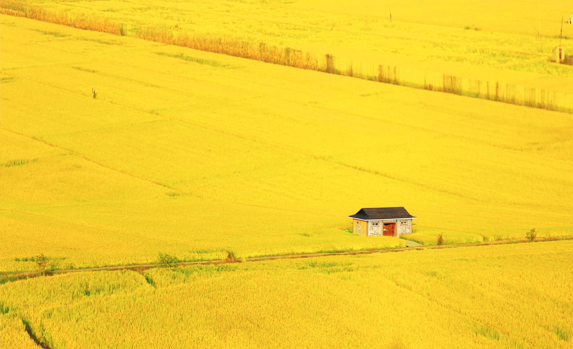乐天堂(中国)唯一官方网站
