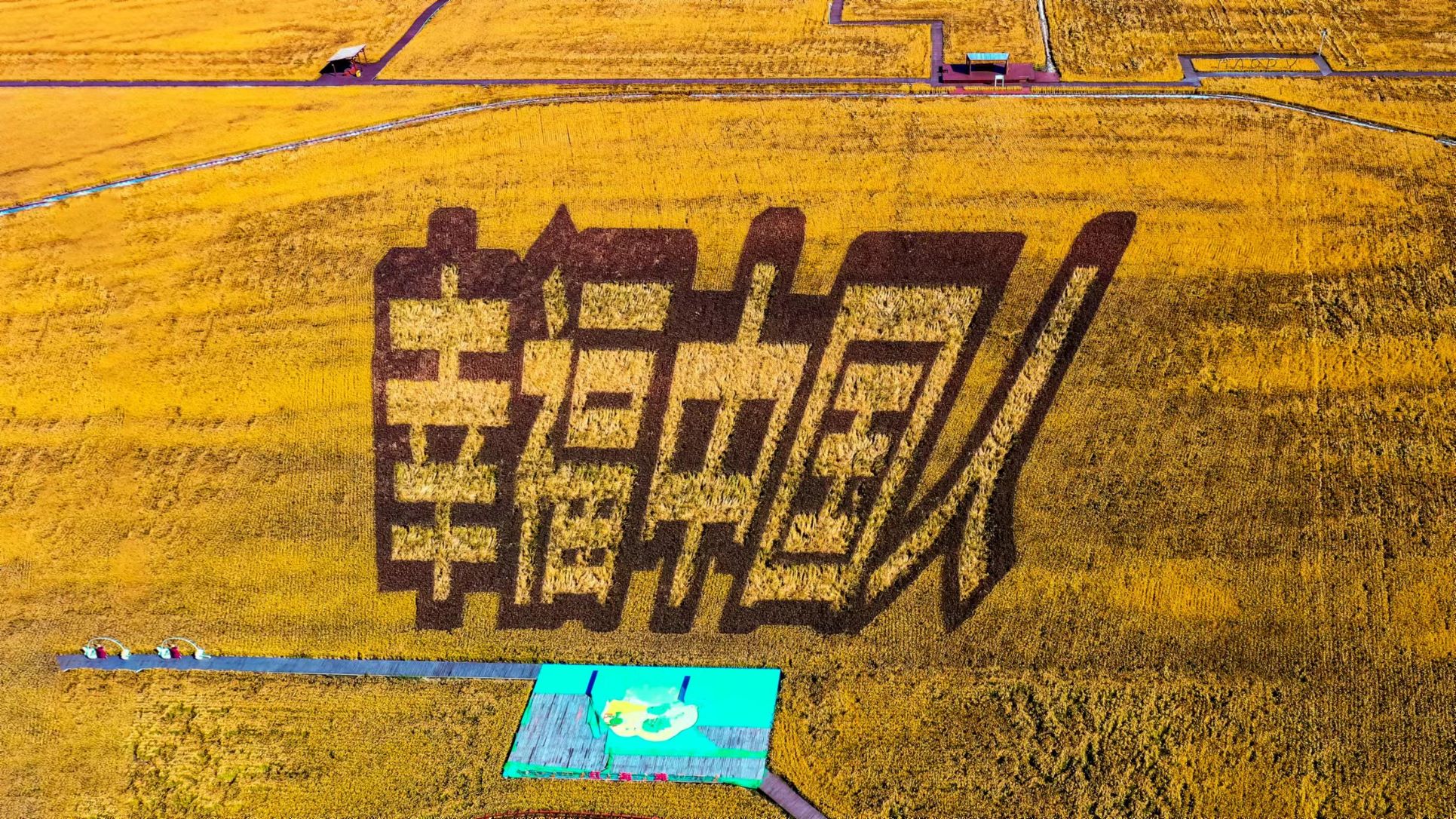 乐天堂(中国)唯一官方网站