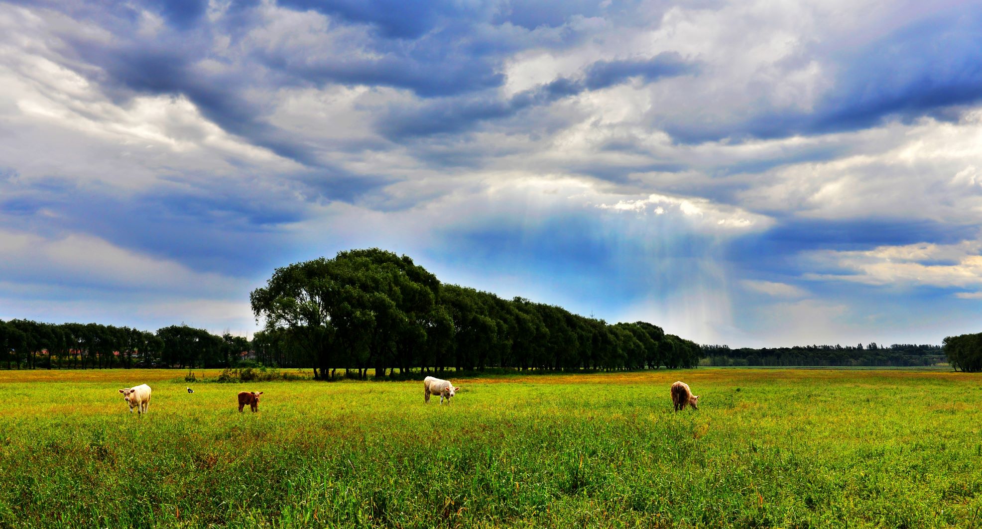 乐天堂(中国)唯一官方网站