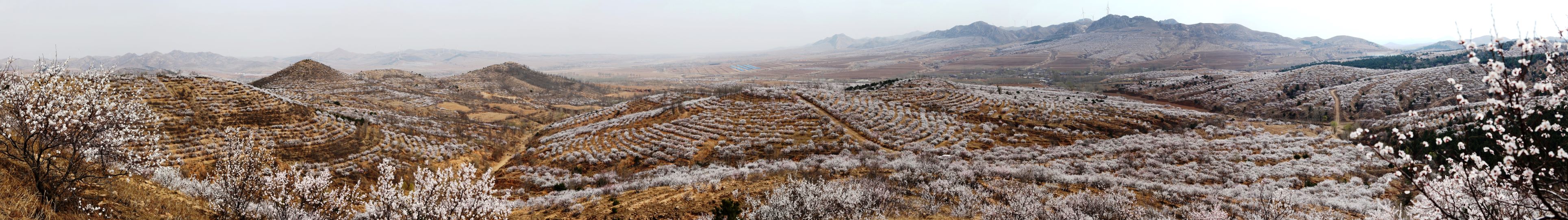 乐天堂(中国)唯一官方网站