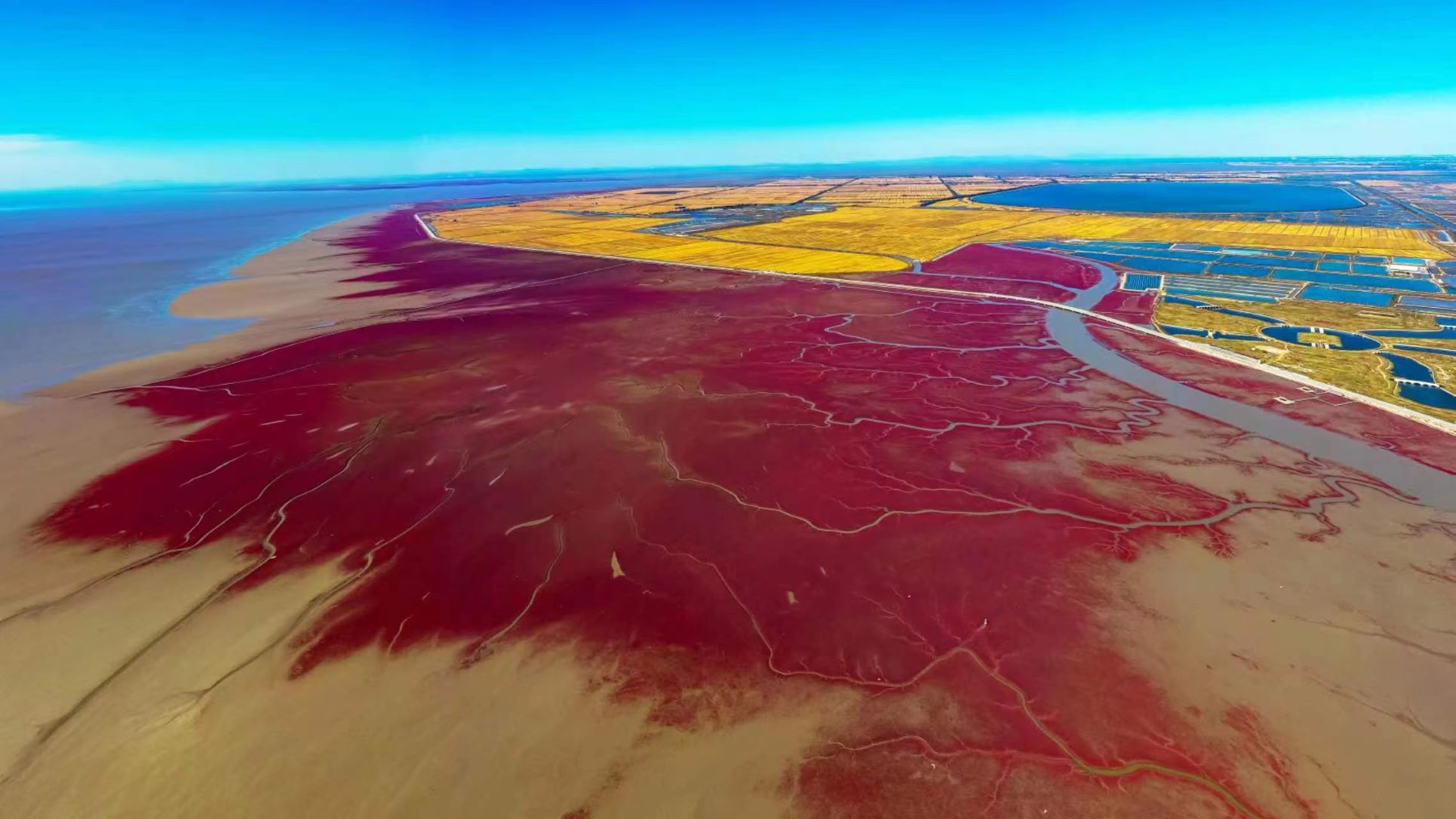 乐天堂(中国)唯一官方网站