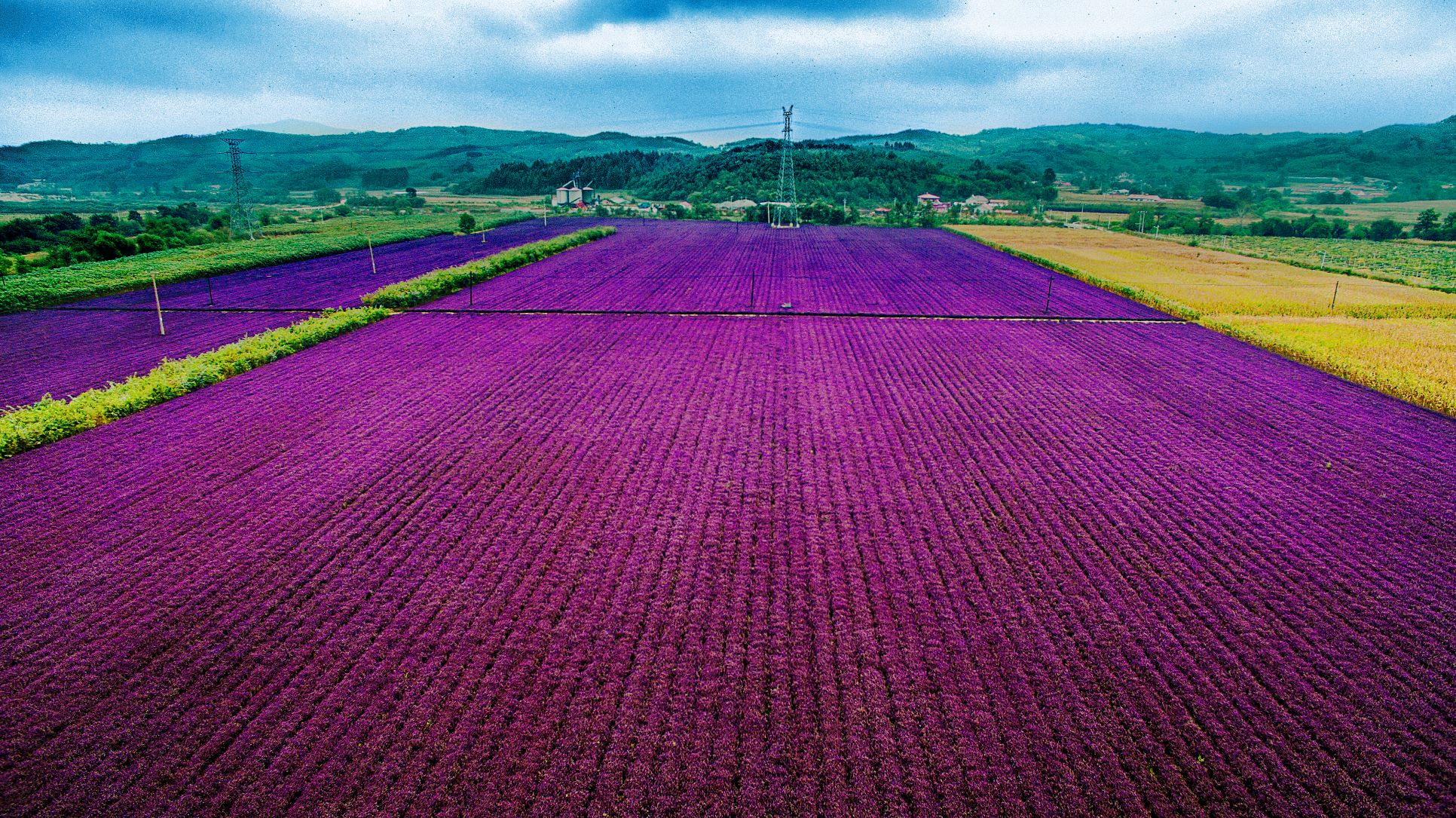 乐天堂(中国)唯一官方网站