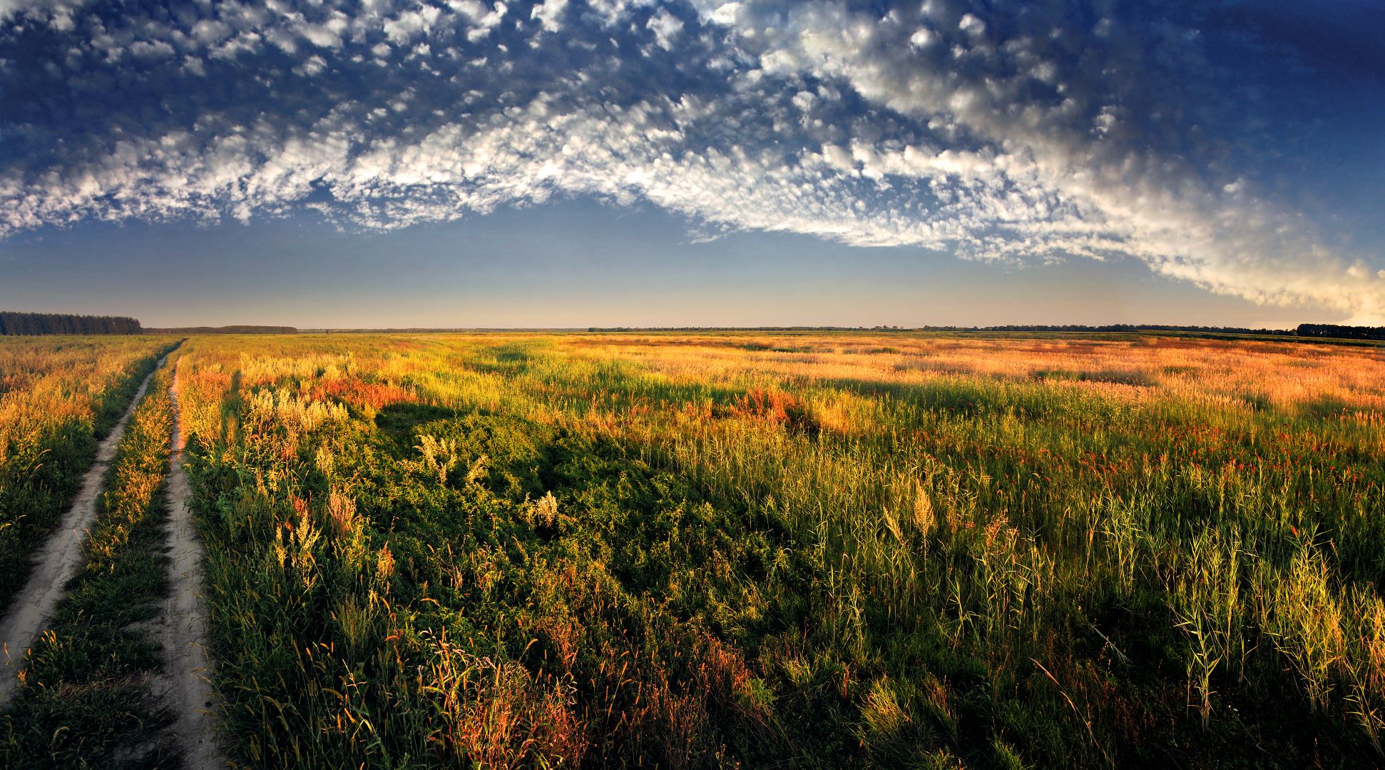 乐天堂(中国)唯一官方网站