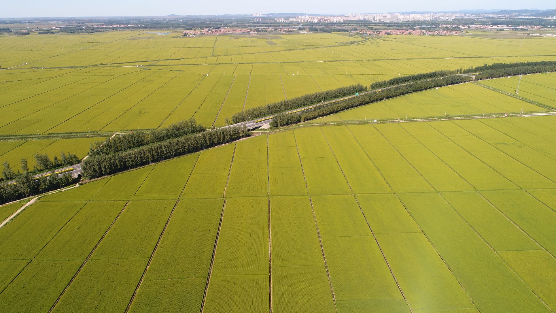 乐天堂(中国)唯一官方网站