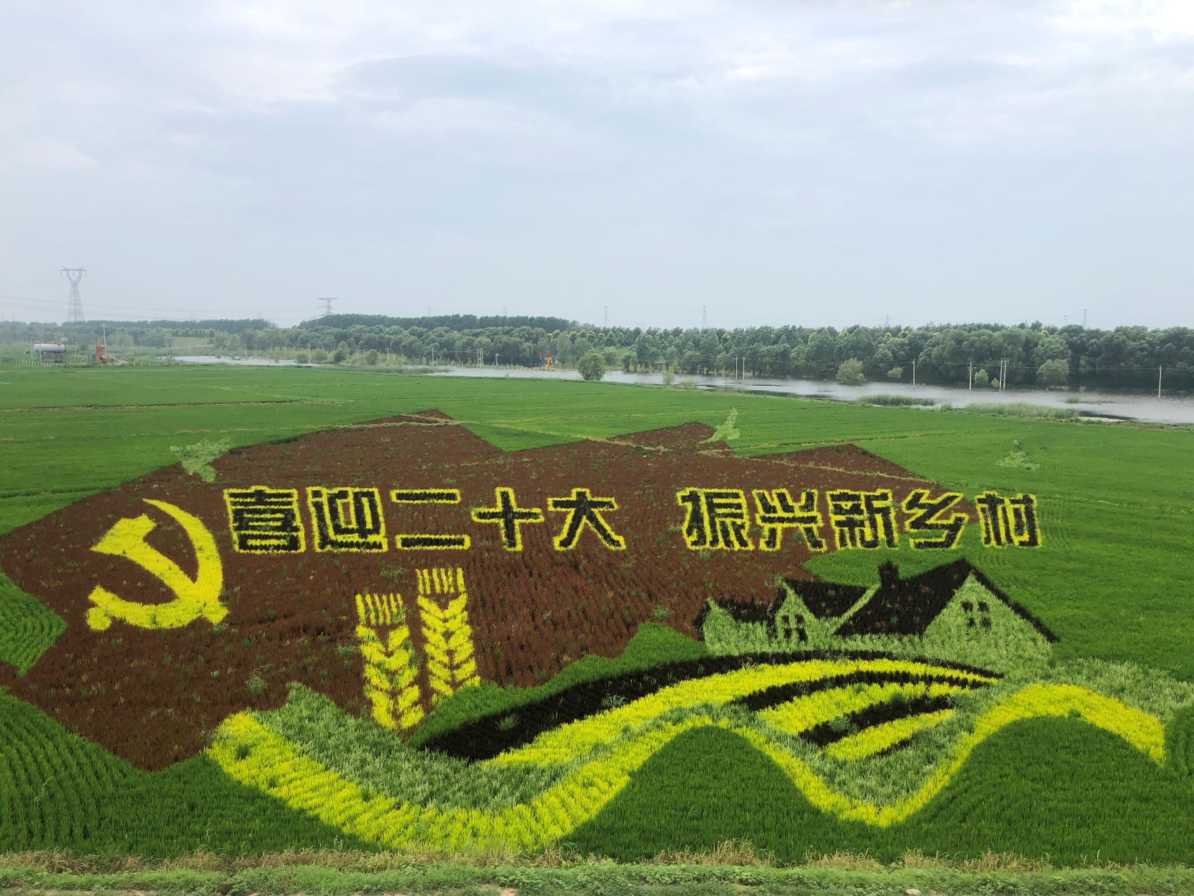 乐天堂(中国)唯一官方网站