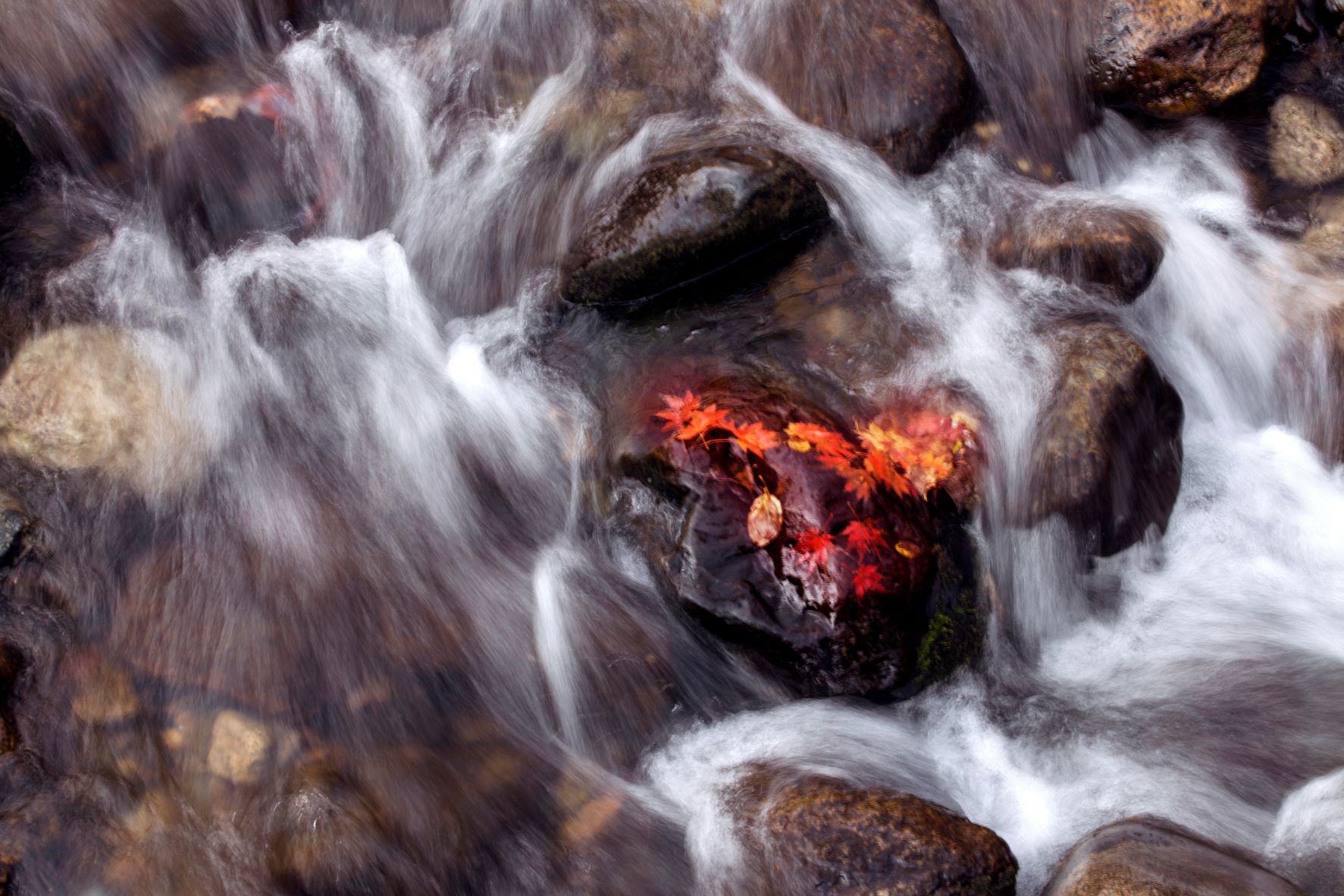 乐天堂(中国)唯一官方网站