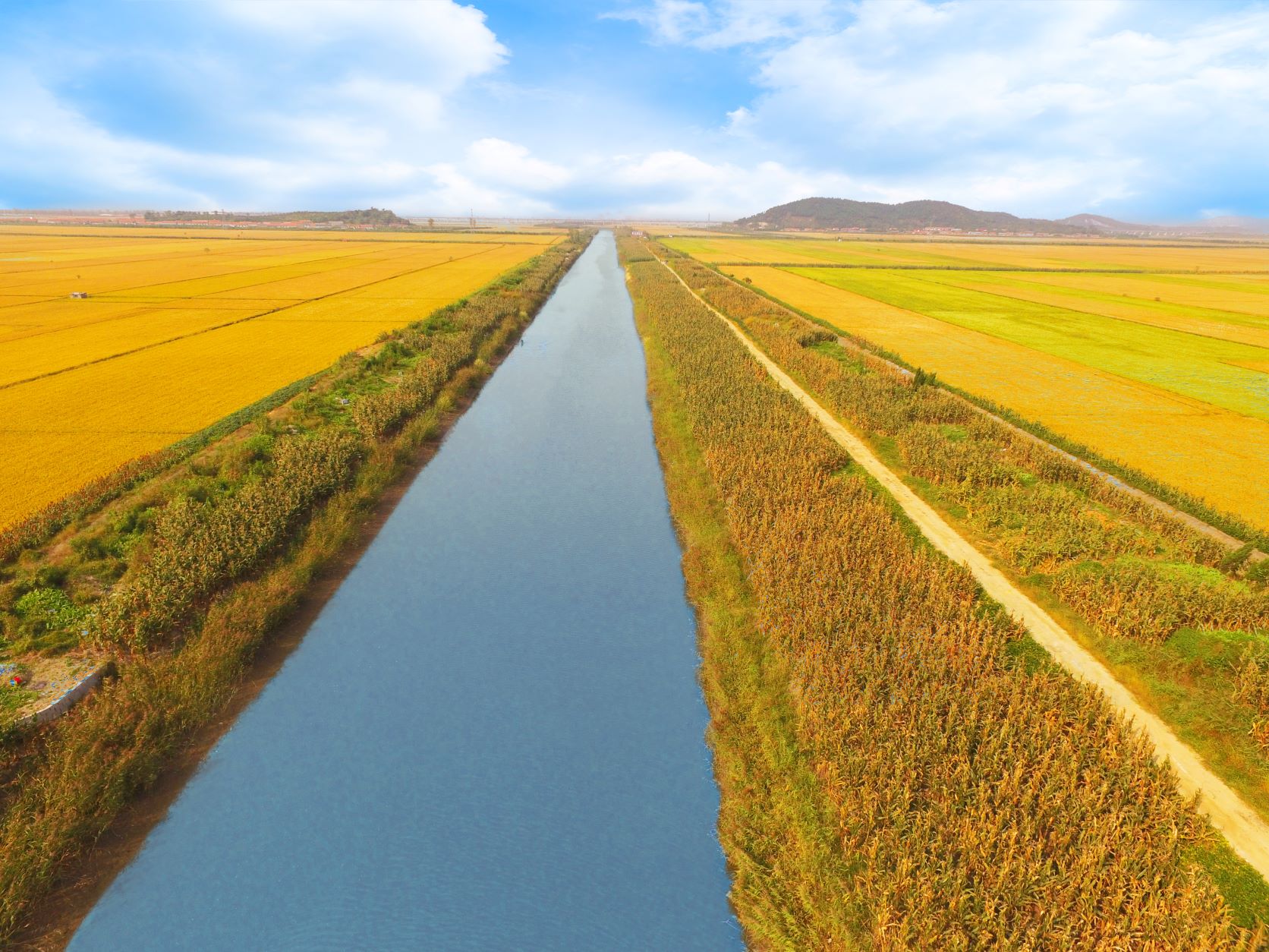 乐天堂(中国)唯一官方网站