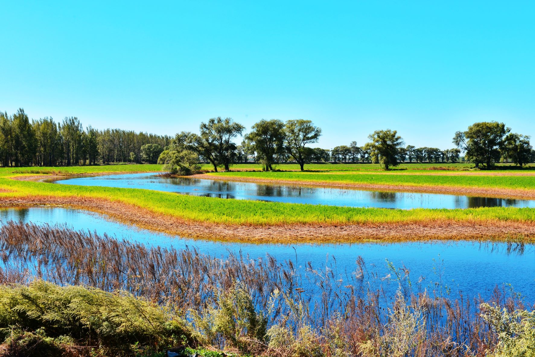 乐天堂(中国)唯一官方网站