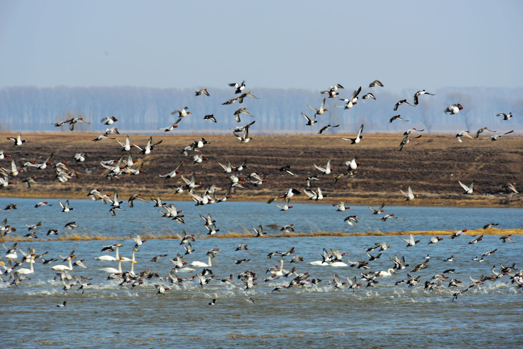 乐天堂(中国)唯一官方网站