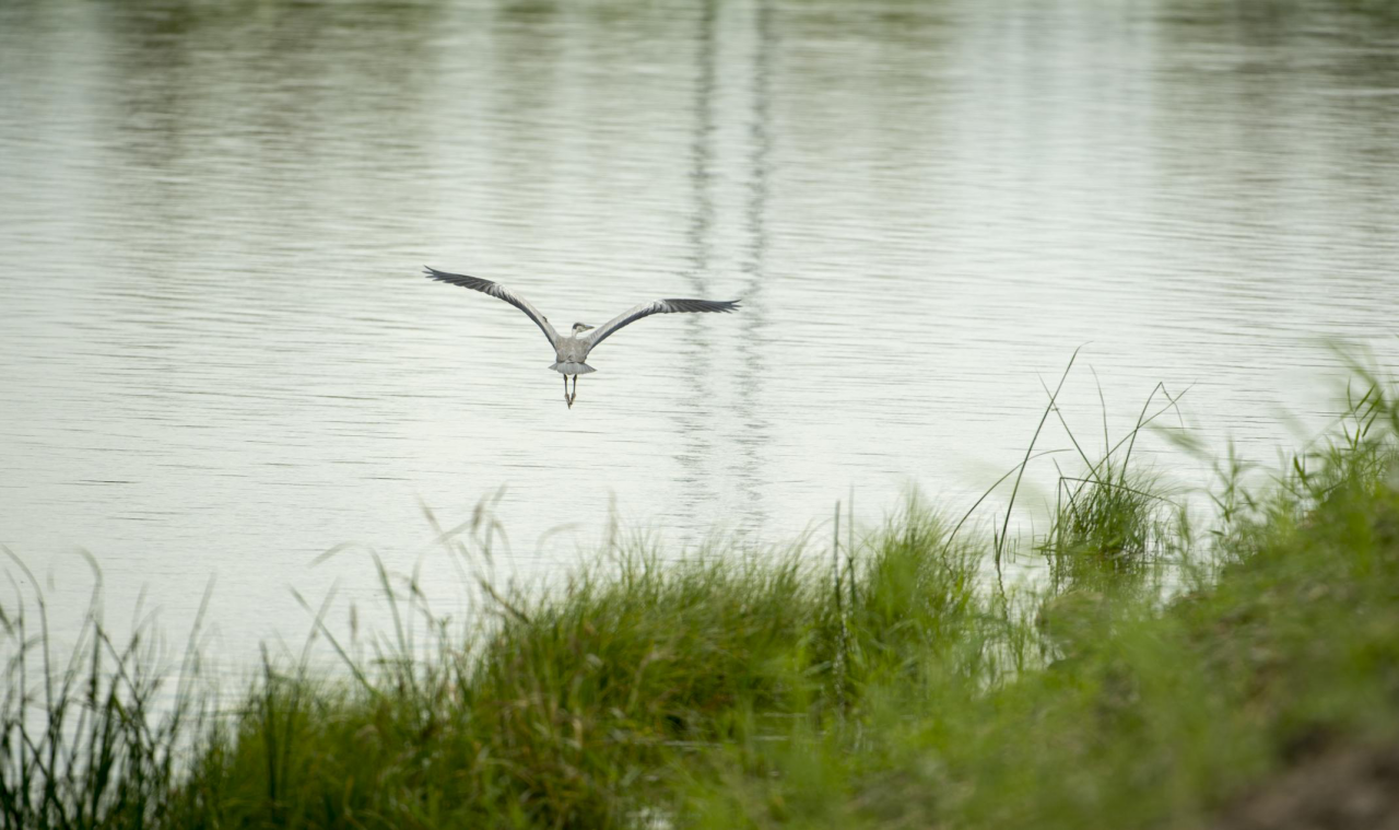 乐天堂(中国)唯一官方网站