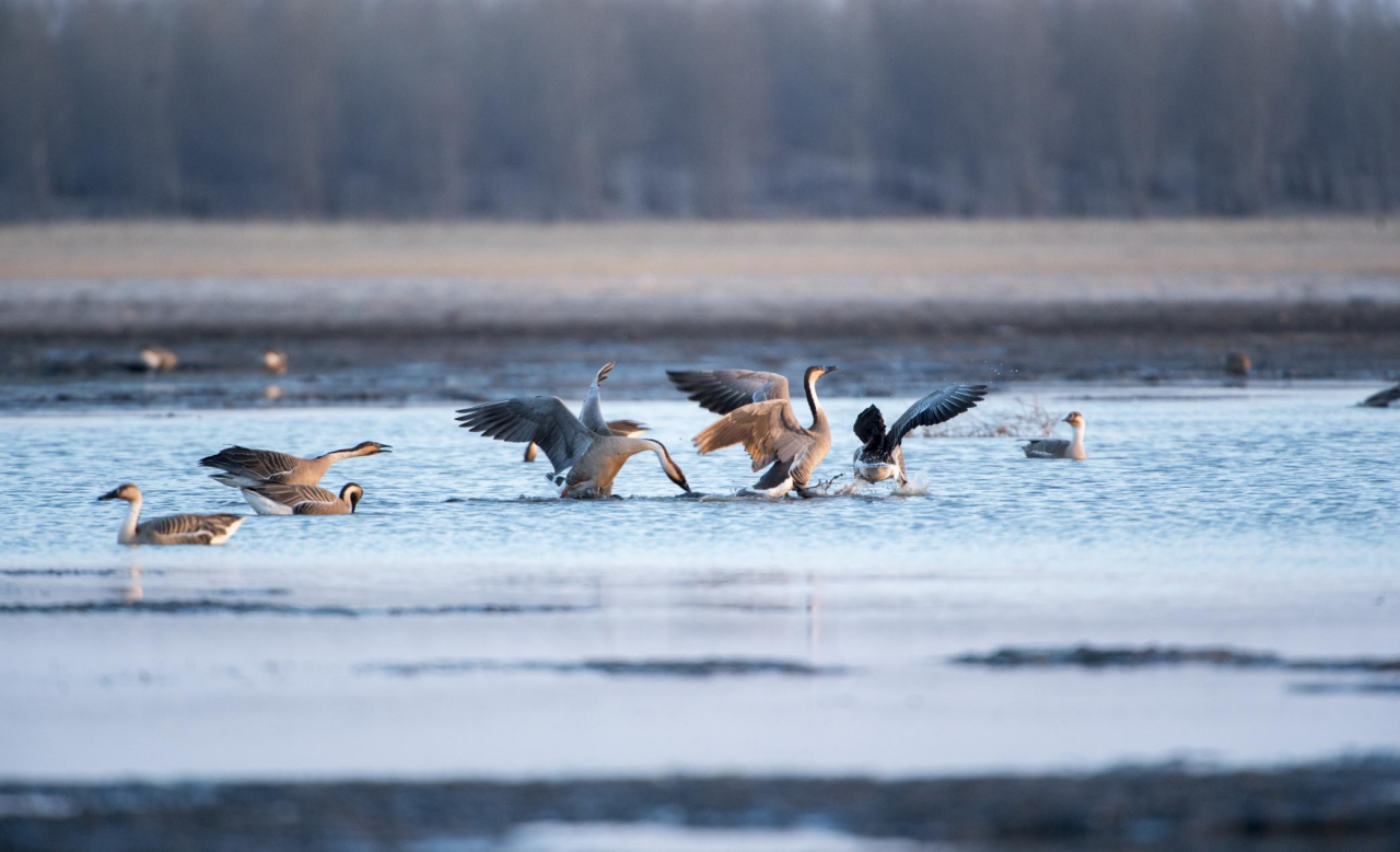 乐天堂(中国)唯一官方网站