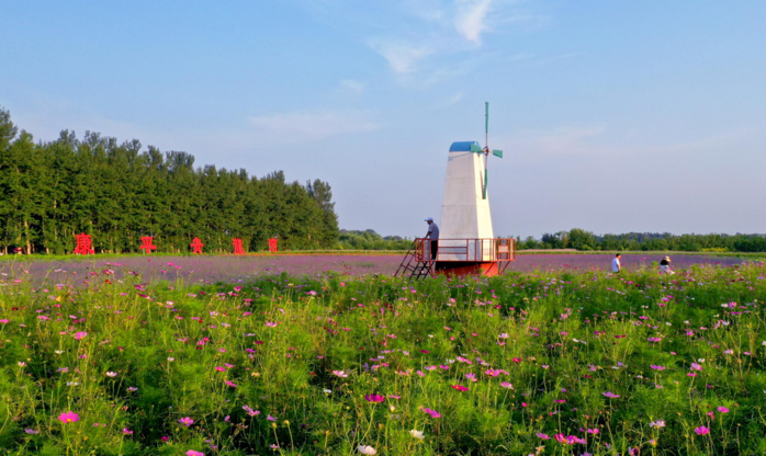 乐天堂(中国)唯一官方网站