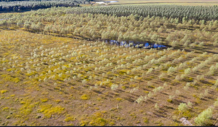 乐天堂(中国)唯一官方网站
