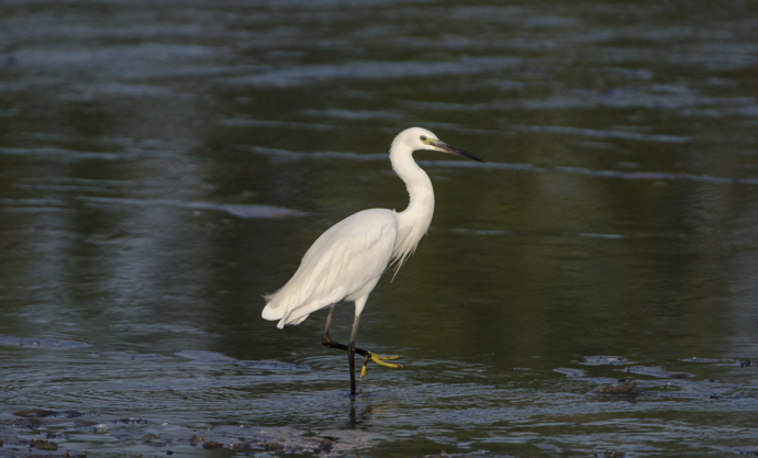 乐天堂(中国)唯一官方网站