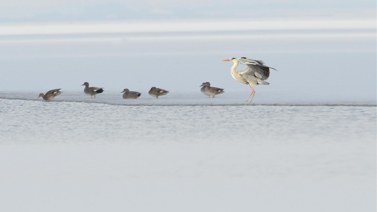 乐天堂(中国)唯一官方网站