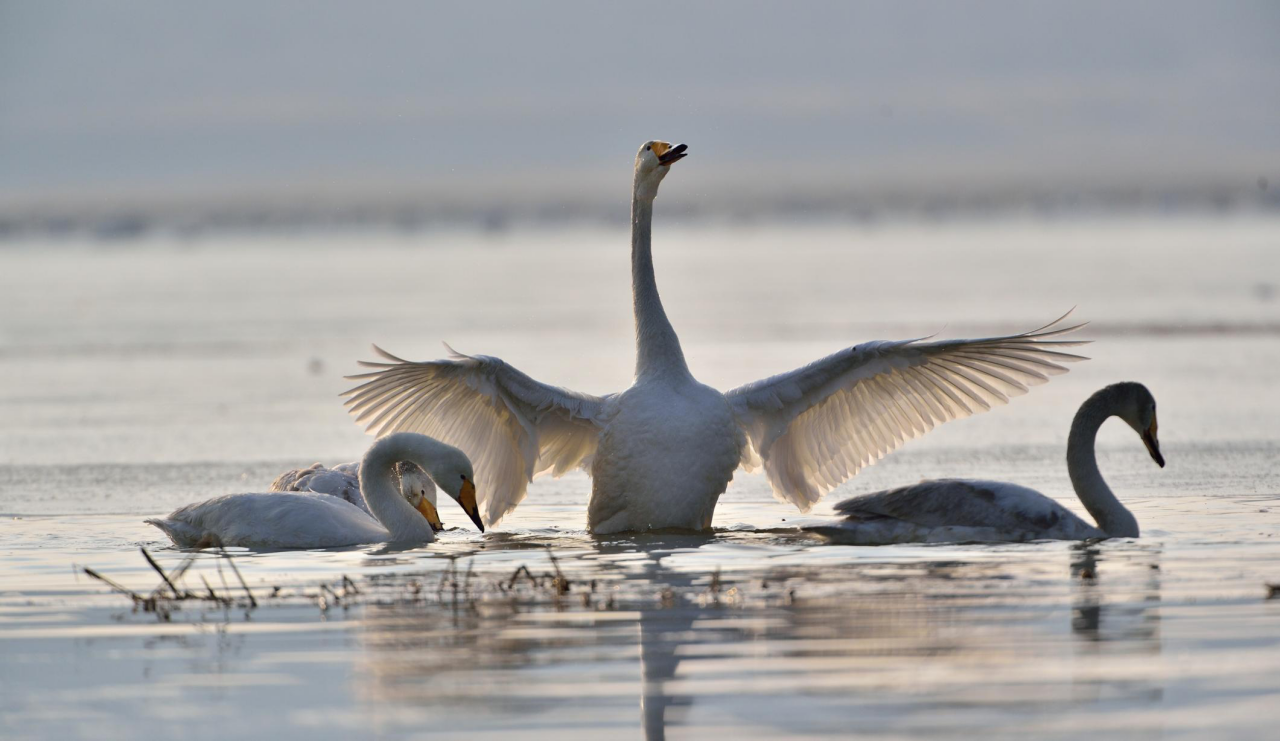 乐天堂(中国)唯一官方网站